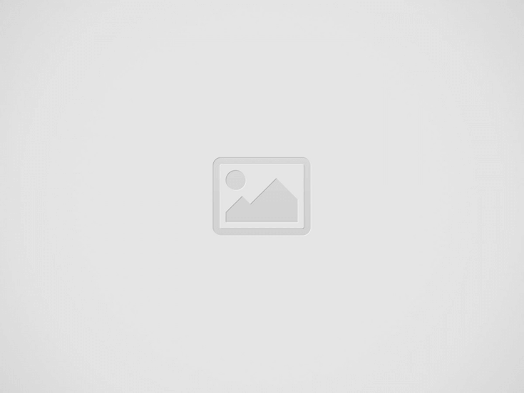 Denver’s New Psilocybin Mushroom Policy Review Panel to Accept Applications