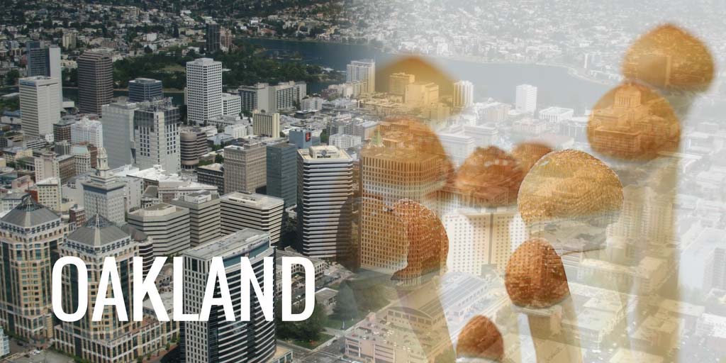 Oakland May Follow Denver's Lead as the Next City to Decriminalize Magic Mushrooms