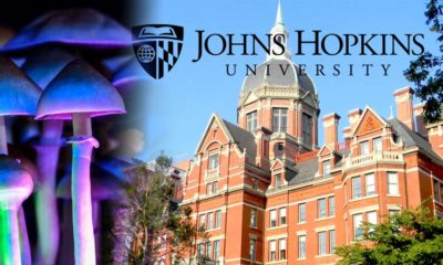 First Psychedelics Research by Johns Hopkins University