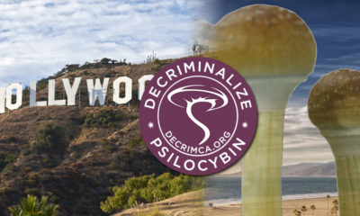 New California Psilocybin Decriminalization Initiative Could Follow State's Marijuana Legalization Path