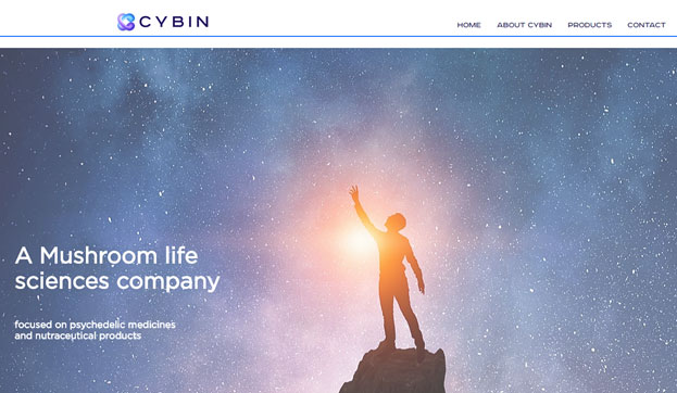 Cybin Review