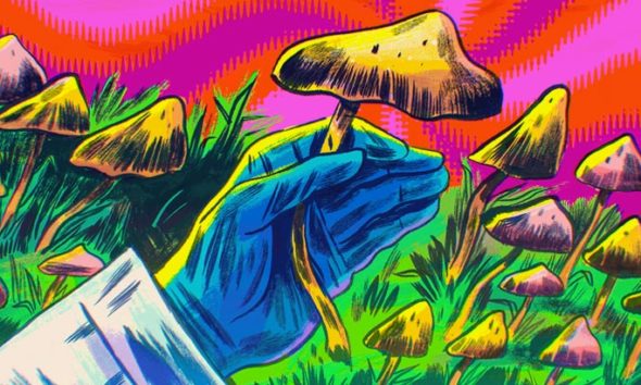 Psilocybin Health Benefits and Magic Mushrooms Microdosing Guide