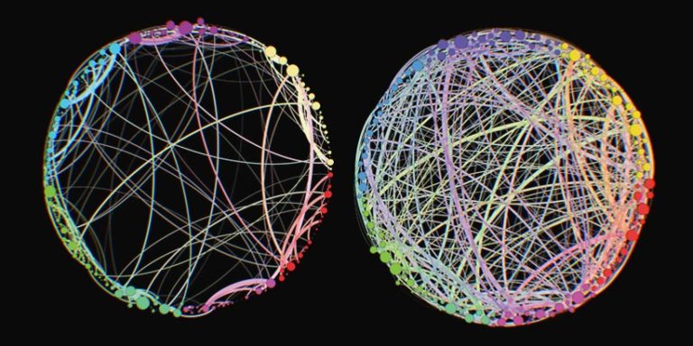 Unlock Your Biological Clock Psilocybin And The Promise Of Extended Lifespan - 62gs8d5